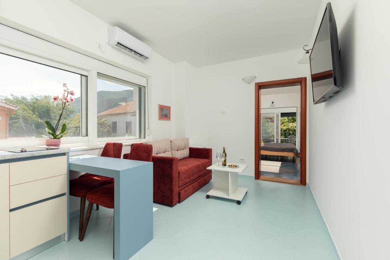 Apartmani Pravilovic ヘルツェグ・ノヴィ エクステリア 写真